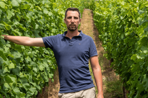 Haut-Rhin : un viticulteur de Turckheim finaliste du concours national Graines d'agriculteurs
