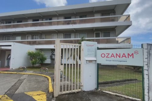 Vivre et travailler en Martinique : la CTM met 50 logements (provisoires) à disposition de ceux qui veulent revenir