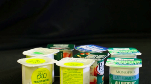 Pollution plastique : les pots de yaourt, un fléau pour l'environnement