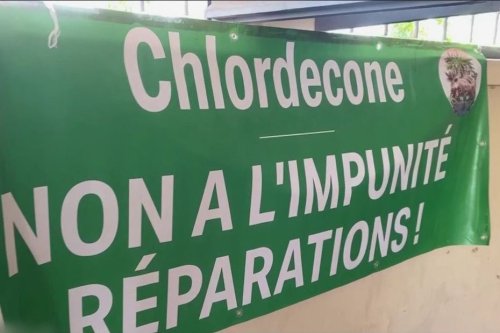 Chlordécone : parlementaires et plaignants antillais dénoncent le pourvoi en cassation de l’Etat, jugé responsable