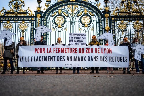 "Le zoo du parc de la tête d'or ne fermera pas", la ville de Lyon clarifie sa position