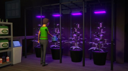 "C'est très réaliste, avec des risques de descentes de police" : "Schedule 1", ce jeu de gestion qui vous met dans la peau d’un dealer de drogue