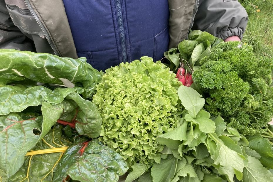 Des paniers bio pour les femmes enceintes : un collectif se bat pour la mise en place du projet dans la Meuse