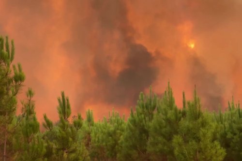 Incendies en cours en Gironde et dans les Landes : 10 000 habitants évacués, 6 200 hectares brûlés et le feu progresse toujours