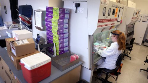 Grippe aviaire : la transmission de la souche H5N1 à l'homme "est une énorme inquiétude", alerte l'OMS