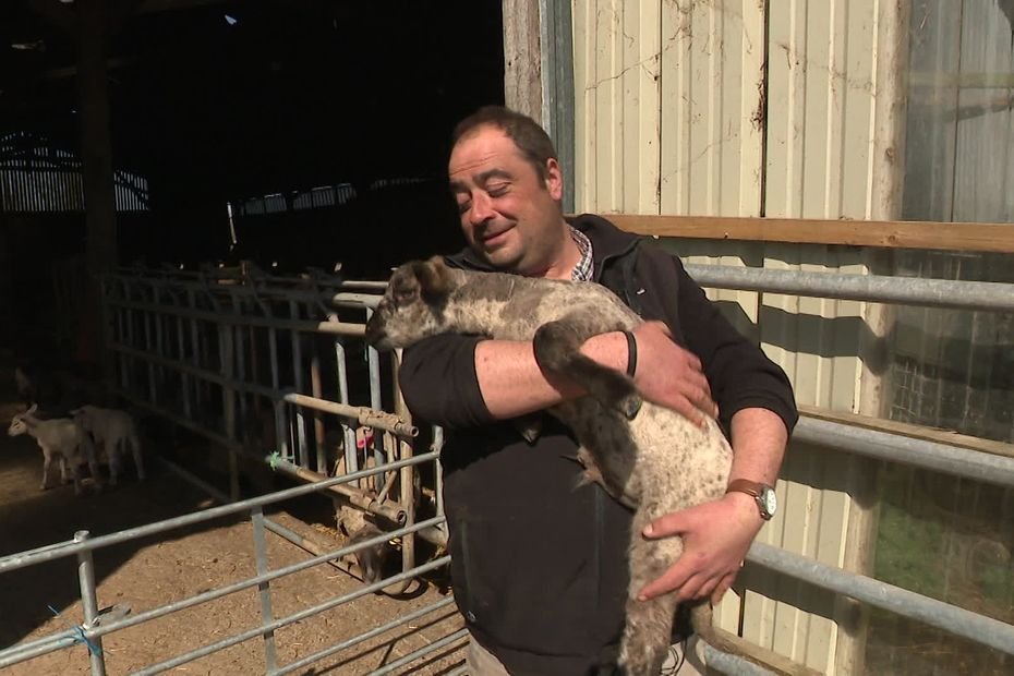« Je ne peux pas abandonner mes bêtes » : l’appel à l’aide d’un agriculteur atteint d’un cancer