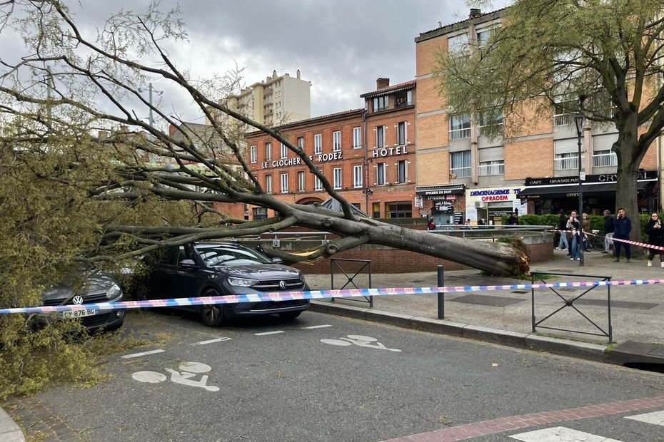 IMAGES. Alerte orange : vents violents jusqu'à 120 km/h, 2500 foyers privés d'électricité, arbres déracinés et routes coupées