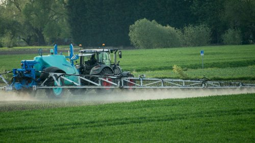 Pesticides exportés par la France : "La loi interdit l'exportation des produits mais pas des substances en elles-mêmes", explique une ONG