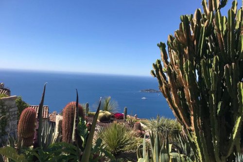 DIAPORAMA. A découvrir dans les Alpes-Maritimes : le jardin exotique d'Eze