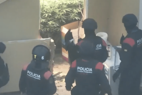 Ils privaient tout un quartier d'électricité pour faire pousser leur marijuana, 3 hommes arrêtés et présenté à un juge