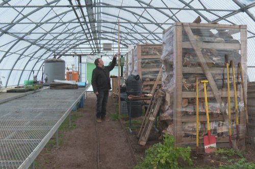 L'entreprise agricole Arbora'l souhaite se lancer dans la production de CBD - Saint-Pierre et Miquelon la 1ère