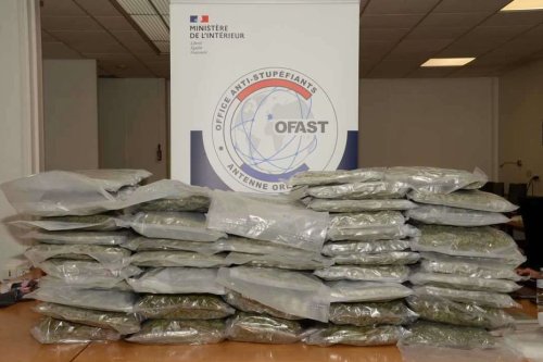 Trafic d'héroïne et "go-fast" rempli de cannabis : treize personnes arrêtées pour trafic de drogue