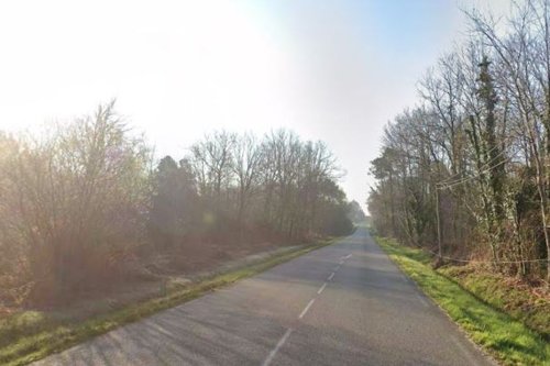 Une femme se tue à moto en percutant un sanglier