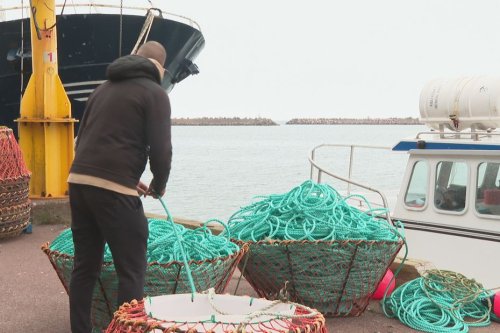 Crabe des neiges : les pêcheurs de Saint-Pierre et Miquelon devraient pouvoir livrer à Terre-Neuve dans les prochains jours