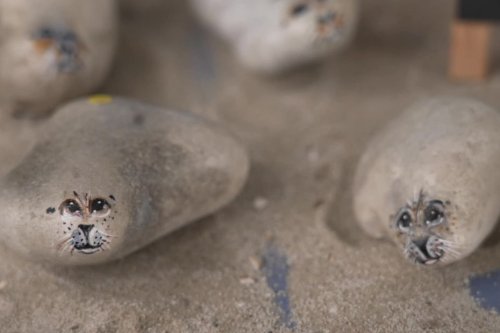 "La baie de Somme a fait ressortir mon côté artistique" : sur des galets, l'artiste Mahée donne vie à des phoques