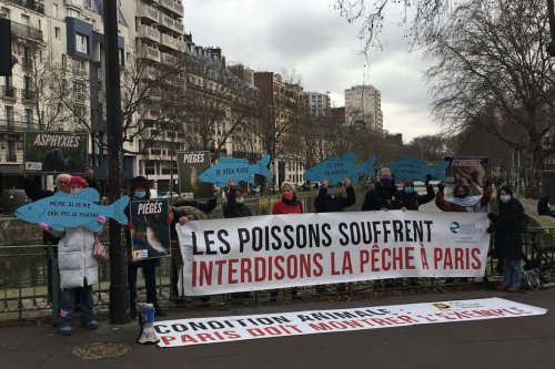 Paris : une association demande l'interdiction de la pêche de loisir dans l'Ourcq