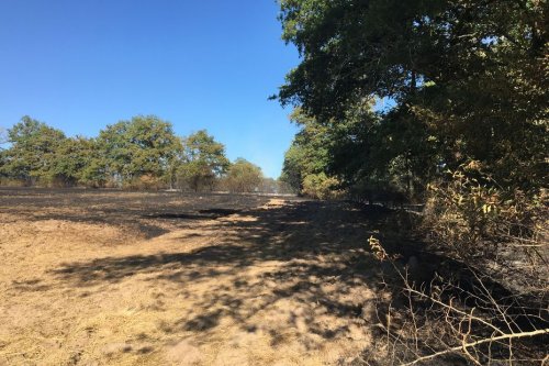 Haute-Vienne : 24 hectares brûlés à Azat-le-Ris