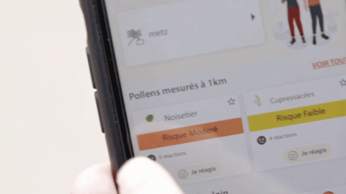 Santé : une application détecte les pollens
