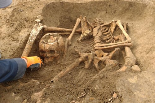 EN IMAGES. Bas-Rhin : 18 corps décapités de l'époque moderne retrouvés lors de fouilles préventives