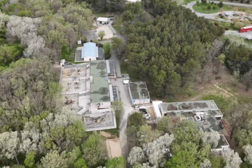 Journée mondiale des animaux de laboratoire : l'extension d'une station d'élevage de singes pour la recherche en Provence fait débat