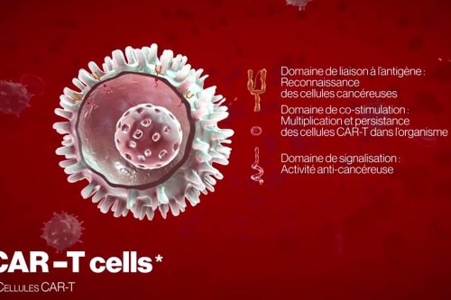 Cancer : une technologie d'immunothérapie révolutionnaire au CHU de Caen