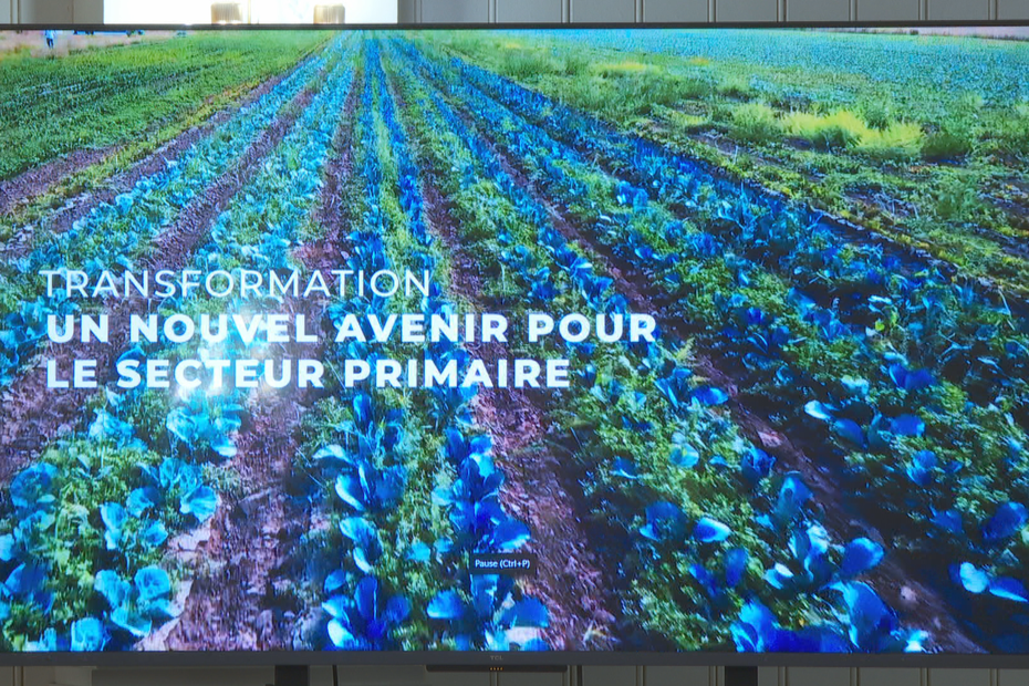Agro-transformation : une voie de développement pour l’agriculture