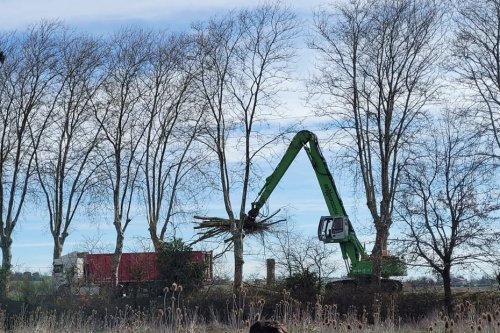 A69 : Les premiers arbres du chantier de l'autoroute Toulouse-Castres abattus