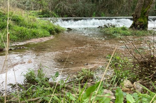 "Les précipitations sont au-delà de la normale" : il est tombé sur une seule journée l’équivalent d'un mois de pluie dans certaines communes varoises