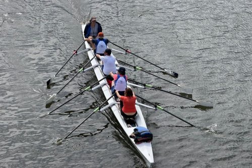 "On se serre tous les coudes", cette randonnée nautique a attiré des dizaines de bateaux