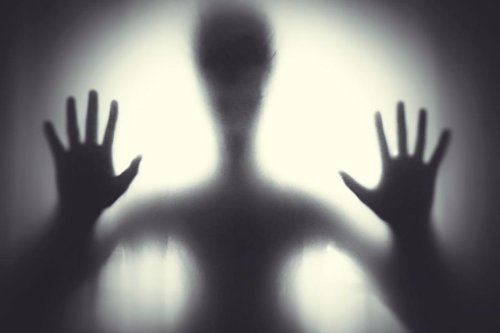 Il pouvait donner le tiercé : le "Poltergeist" de la Nièvre, l'histoire qui a troublé tout un village... gendarmes compris