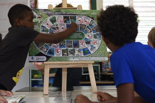 Une mallette de jeux conçue localement autour de la biodiversité martiniquaise, présentée aux écoliers