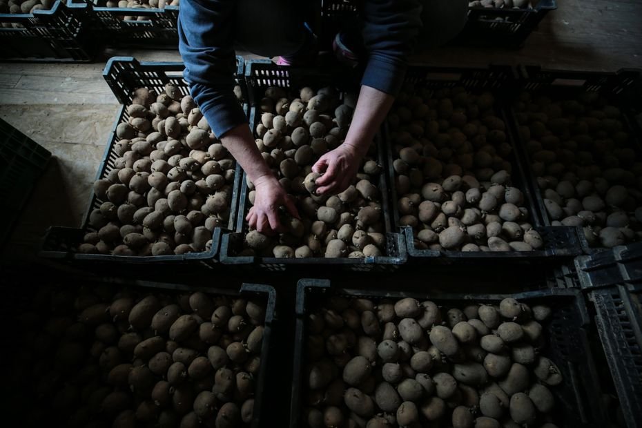 « Le marché est en train de redémarrer » : dans les Hauts-de-France, la filière bio reprend des forces