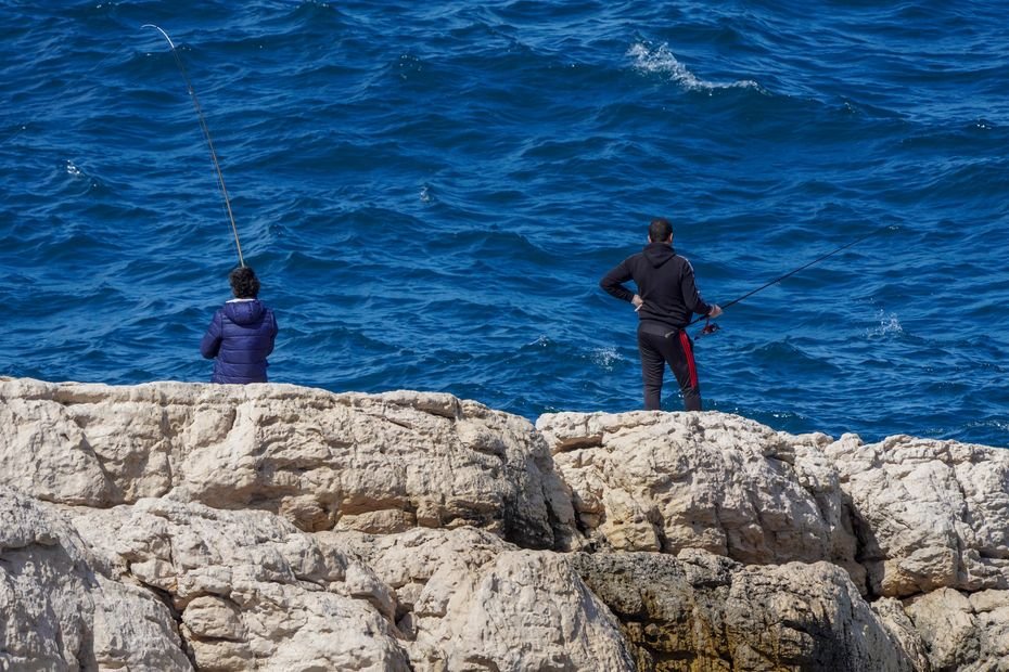 "Torturer un animal n'est ni un sport ni un loisir !", une association demande l'interdiction de la pêche au vif