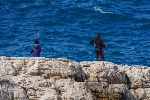 "Torturer un animal n'est ni un sport ni un loisir !", une association demande l'interdiction de la pêche au vif