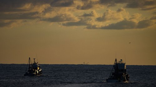 Surpêche : moins de "surexploitation" mais toujours pas de pêche durable en Méditerranée et en mer Noire, selon un rapport de l'ONU