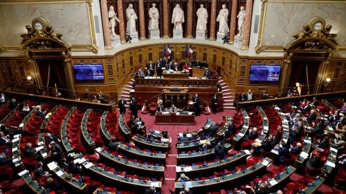 Retour du RN au Sénat : "Le vote des grands électeurs reflète le vote de la population", explique un maire de Seine-et-Marne