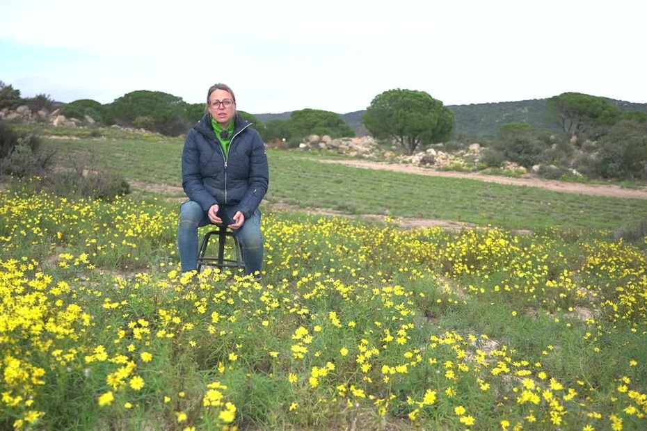 « On s’est dit allez, on change de vie » : de l’industrie cosmétique à l’agriculture bio, elle cultive ses propres plantes aromatiques