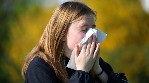 Allergies aux pollens : "On a l'impression qu'il y a une modification des saisons polliniques au fur et à mesure que le climat évolue", constate une allergologue