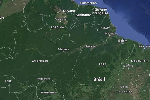 Brésil : des poissons fortement contaminés au mercure dans 6 états dont l’Amapa