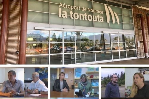 Covid-19 : faut-il rouvrir les frontières calédoniennes ? - Nouvelle-Calédonie la 1ère