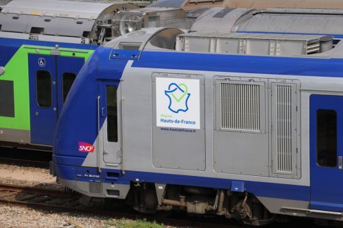 Punaises de lit : Xavier Bertrand interpelle la SNCF pour qu'elle agisse en prévention d'une infestation des nuisibles dans les TER