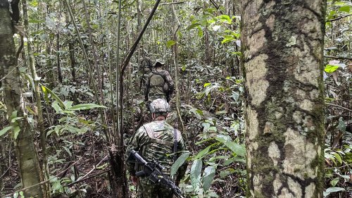 Colombie : les enfants disparus depuis un mois dans la jungle sont "vivants", selon les autorités