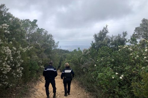 Corse : les gendarmes traquent les atteintes à l'environnement dans des sites classés