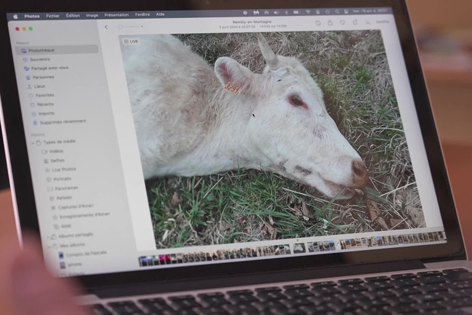 Dans cette commune, municipalité et habitants dénoncent le comportement d’un agriculteur : « Il jette l’opprobre sur la profession »
