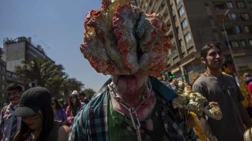 Vrai ou fake "The Last of Us" : un champignon tueur pourrait-il un jour transformer un être humain en zombie ?