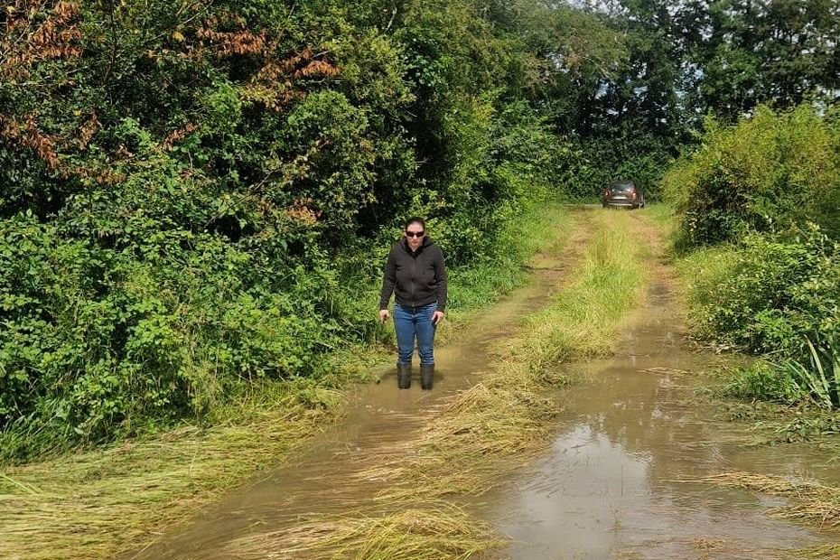 La détresse d’une agricultrice. La ferme des 4 P à Usson-du-Poitou est en sursis. Voici le récit poignant d’une situation dramatique