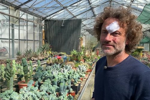 EN IMAGES. Cactus et plantes exotiques rares... Cette pépinière livre ses secrets pour une production made in Bretagne