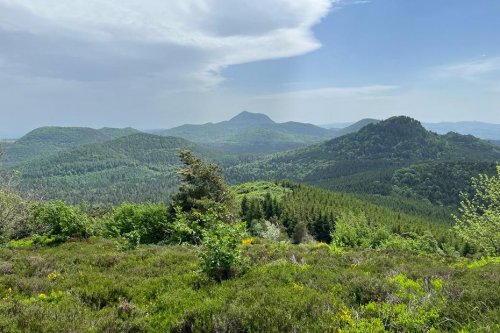 VIDEO. Randonnée : à la découverte des puys de Jumes et de Coquille au cœur du Puy-de-Dôme