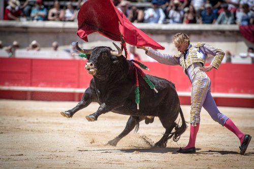 Corrida : le fils de Marie Sara échappe au pire au moment de la mise à mort d'un taureau en Espagne