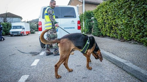Disparition de Sihem dans le Gard : la jeune fille retrouvée morte cette nuit, le principal suspect est passé aux aveux